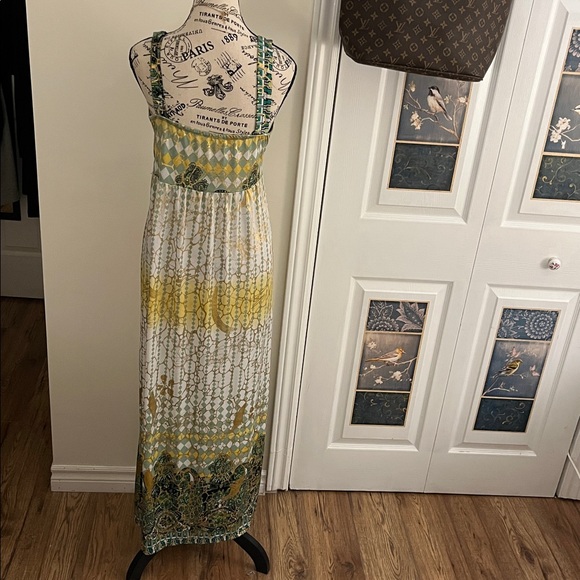 🫏Chic Multicolor Maxi Dress - Picture 5 of 13